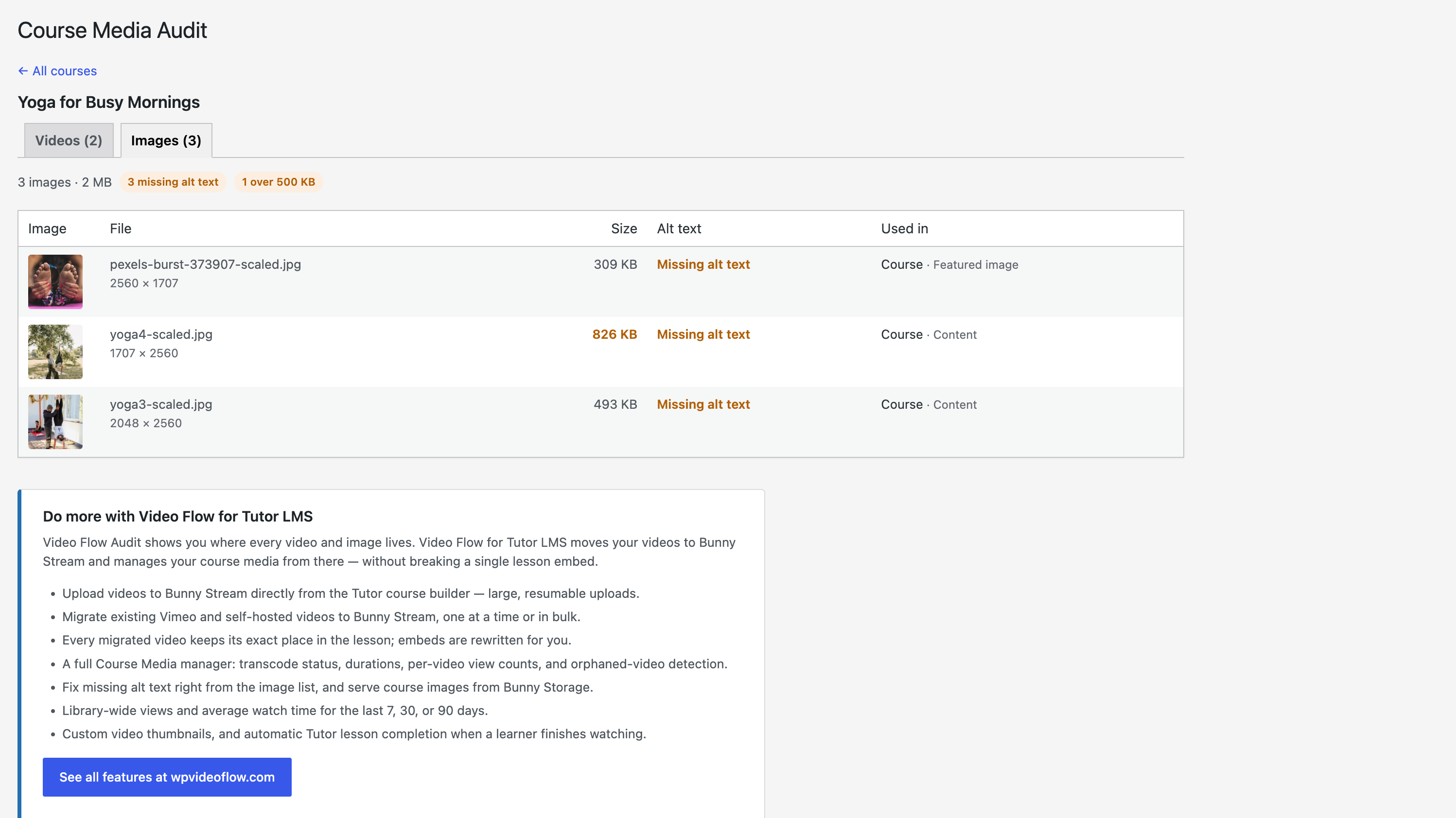 Video Flow Audit for Tutor LMS