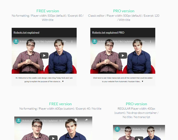 Video SEO Transcription Embedder
