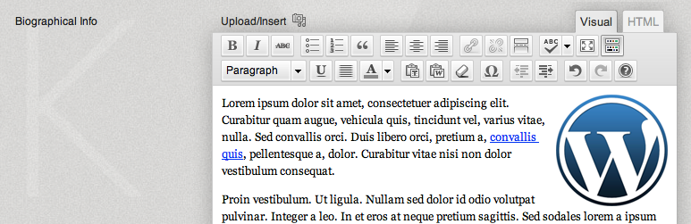 Visual Editor Biography