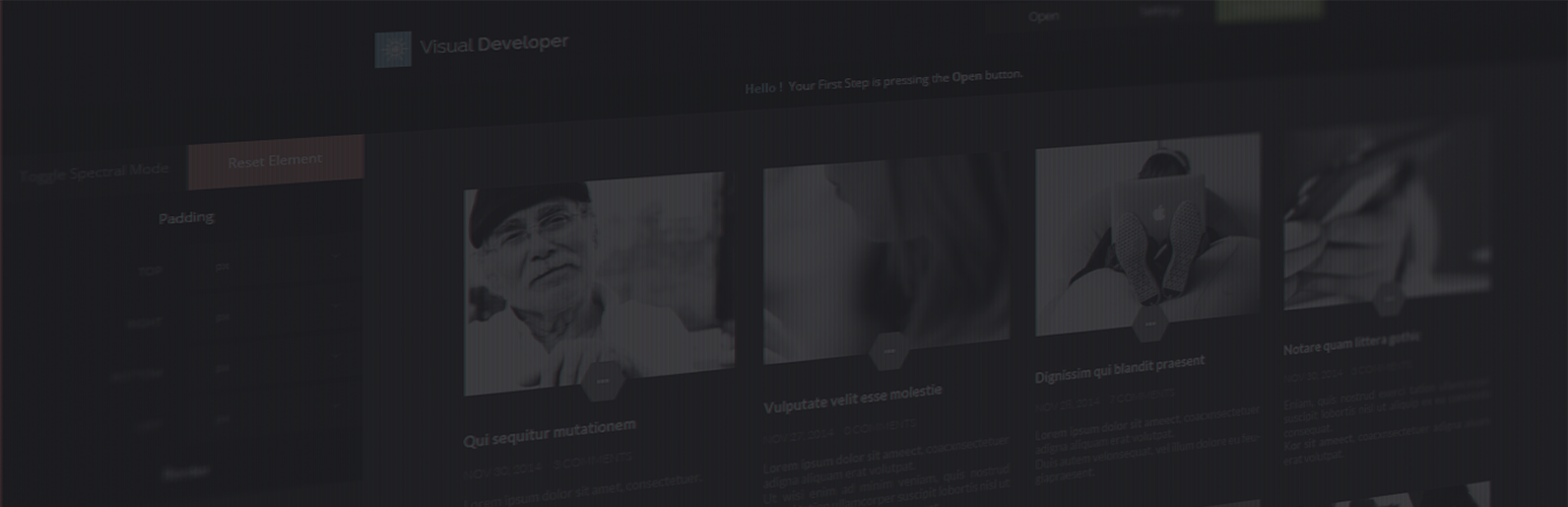 Visual Developer Custom CSS