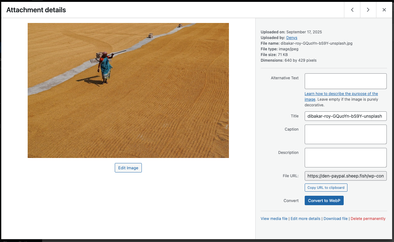 Convert Single Image – Convert individual images directly from the attachment page.