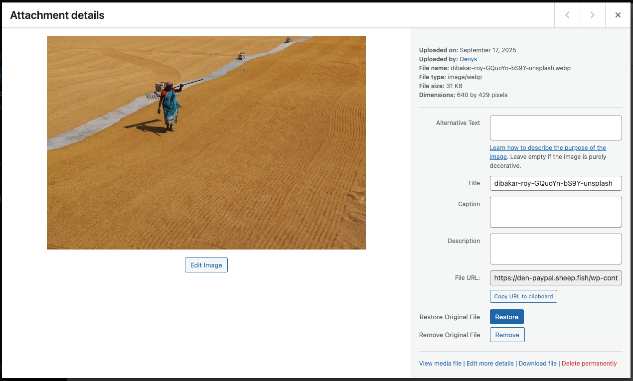 Restore or Remove Original file – Restore or remove originals for a single image from the attachment page.