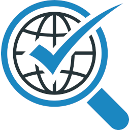Website Checkups Icon