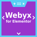 Webyx FE Icon