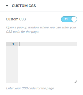 <strong>CUSTOM CSS</strong>