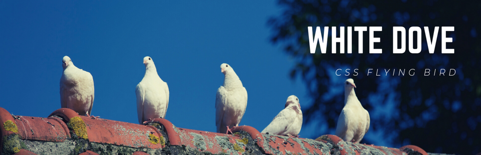 White Dove (CSS Animated Flying Bird)