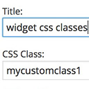 Widget CSS Classes Icon