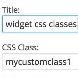 Widget CSS Classes