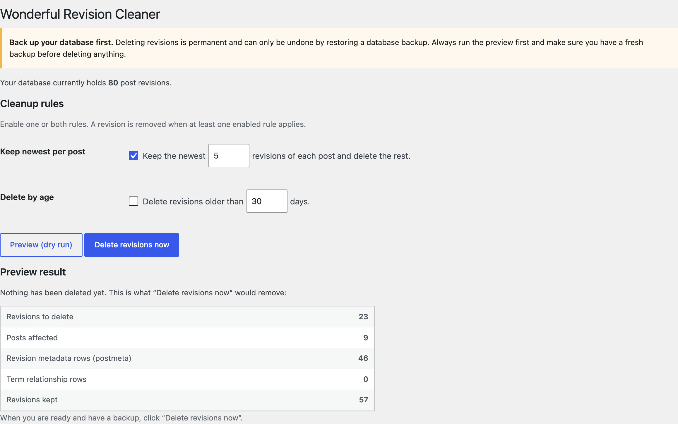 The Revision Cleaner page under Tools: set your rules, preview exactly what would be removed, then delete safely.