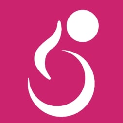 WP Accessibility Helper (WAH) logo
