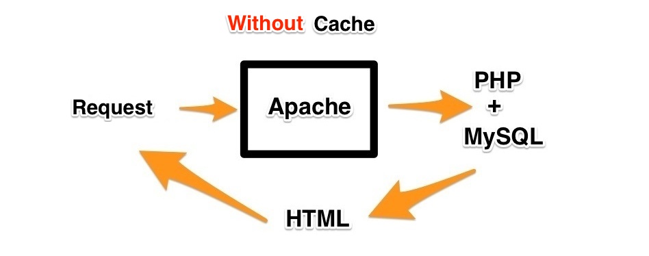 Without Cache