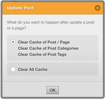 Update Cache