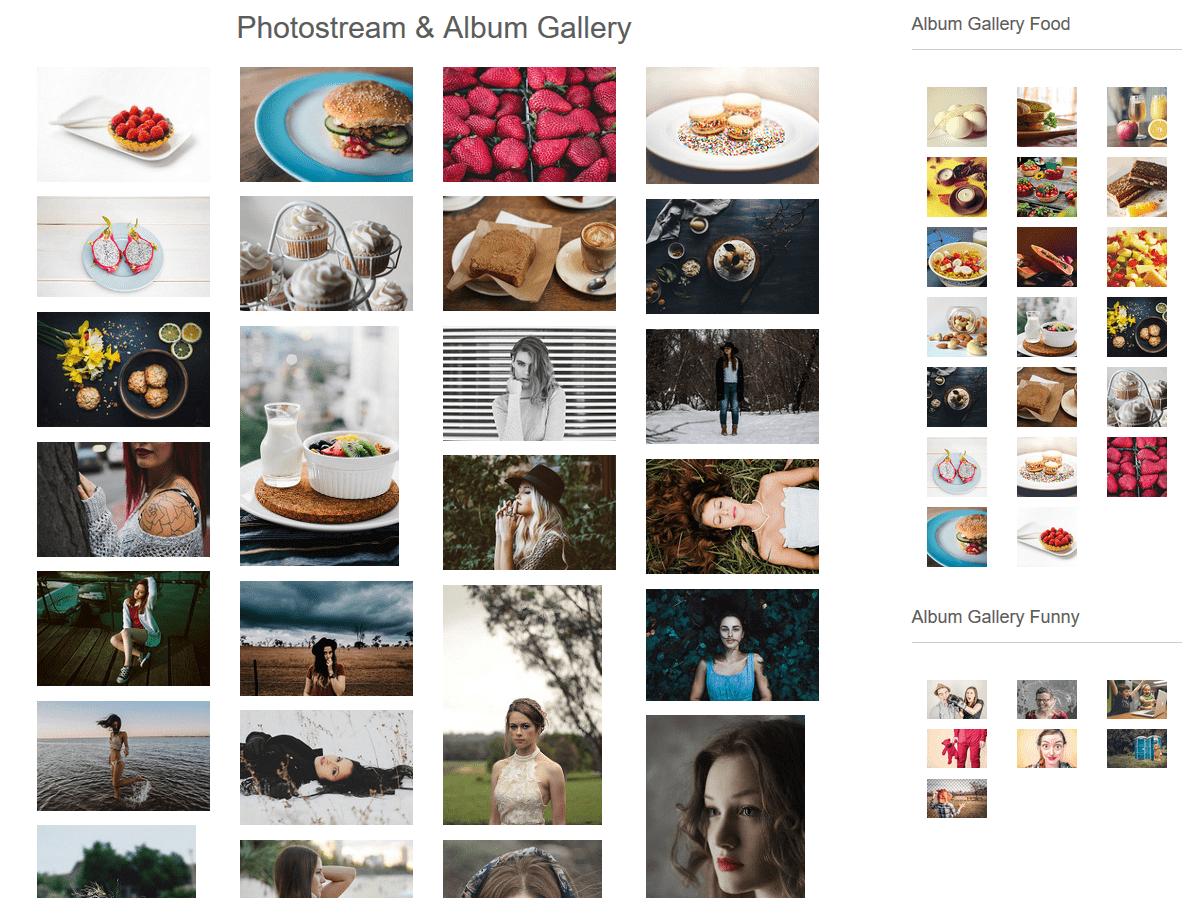 Photostream Gallery &amp; Multiple Album Gallery into Widgets