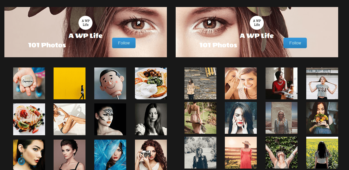 Buy Premium Plugin To get This Type of Profile & Follow Button settings