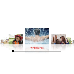 WP Flow Plus logo