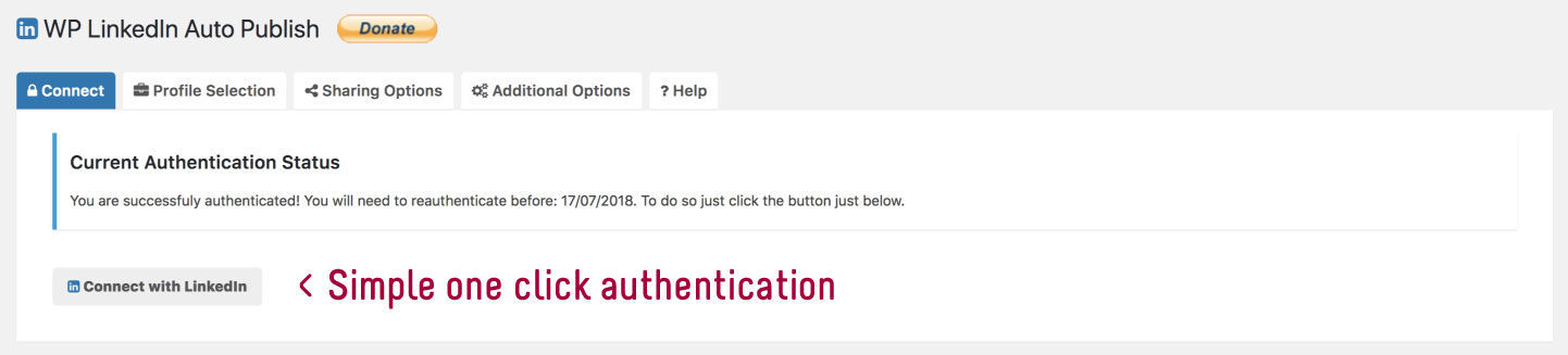 WP LinkedIn Auto Publish