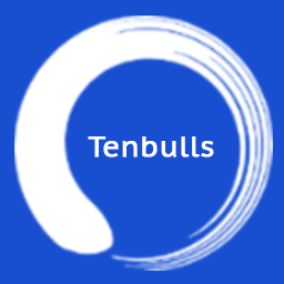 WP Logger – Tenbulls logo