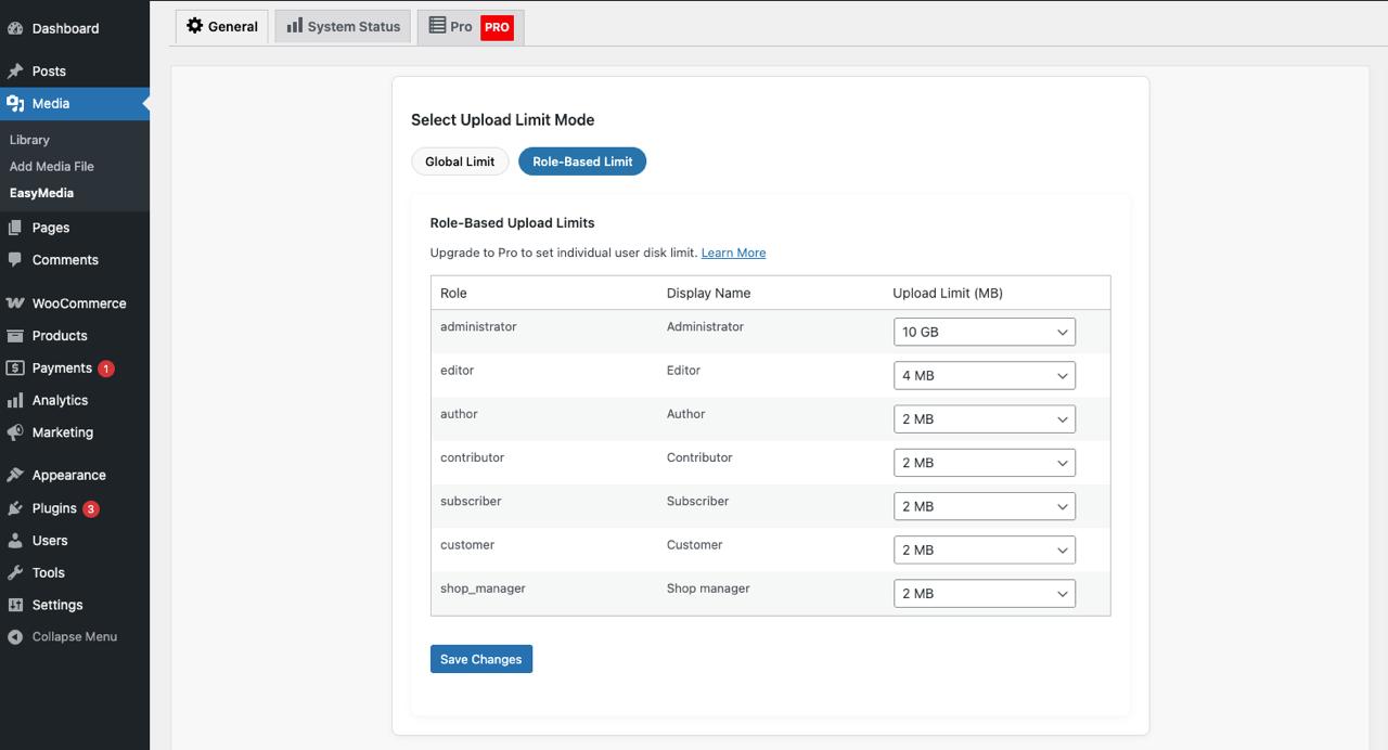 Set upload limit by role.