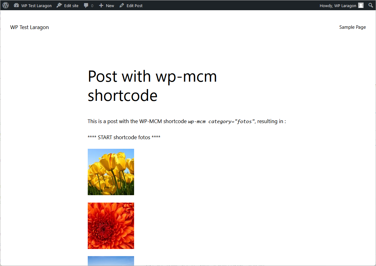 The post page showing the results of the example using the [wp-mcm category="fotos"] shortcode.