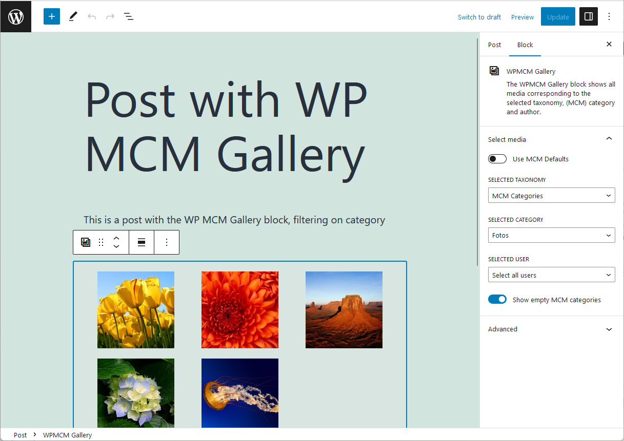 The post edit page showing an example using the WPMCM Gallery block filtering on MCM Categories Fotos.