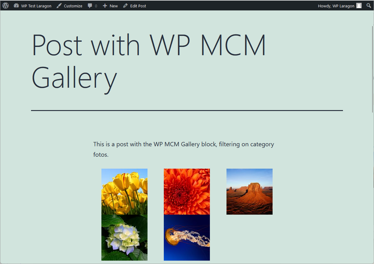 The post page showing the results of the example using the WPMCM Gallery block filtering on MCM Categories Fotos.