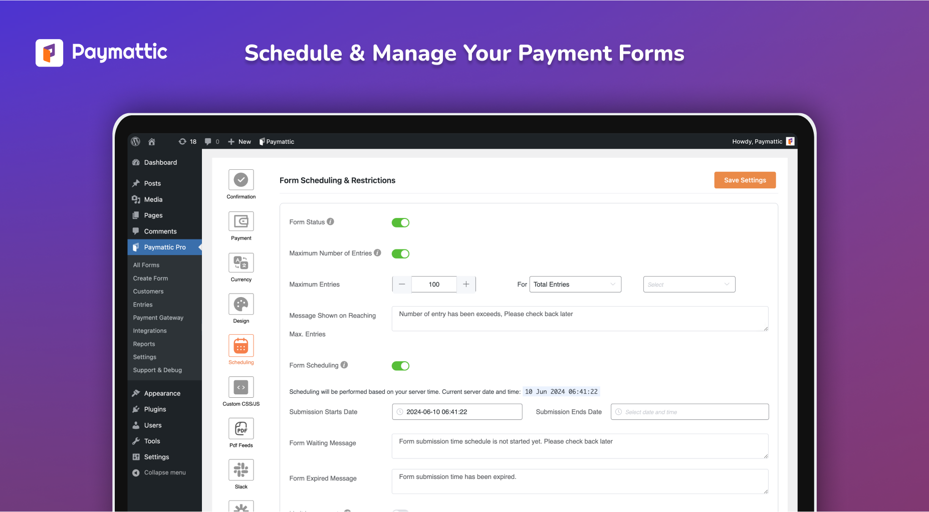 Effortlessly manage your payment and donation forms with Paymattic. Schedule your forms, limit entries, set payment caps, and more.