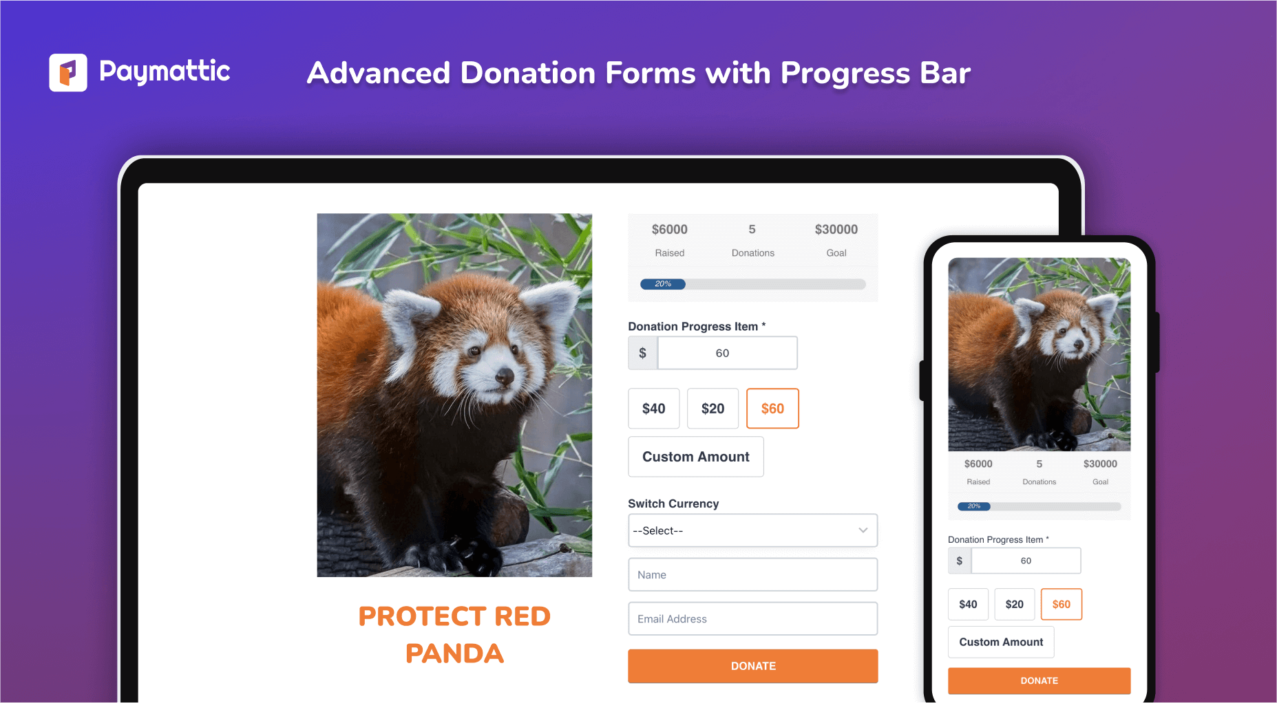 Create advanced donation forms with fields like Currency Switcher, Donation Progress Bar, and Default Donation Value. Showcase your forms perfectly on every device.