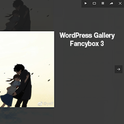 WP Post Gallery Fancybox Icon