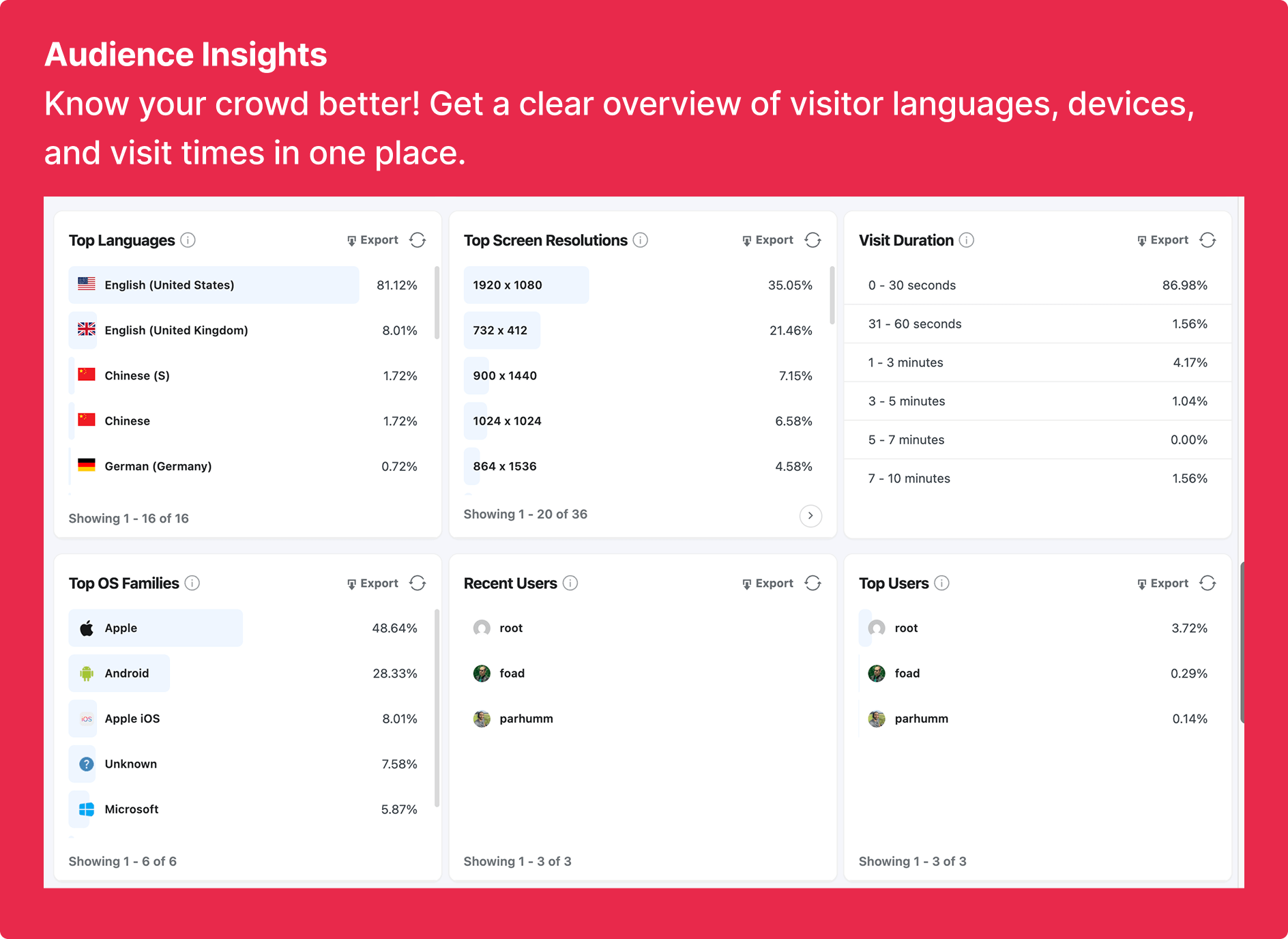 <strong>Audience</strong> - See your visitors' full information