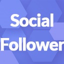 WP Social Follower logo