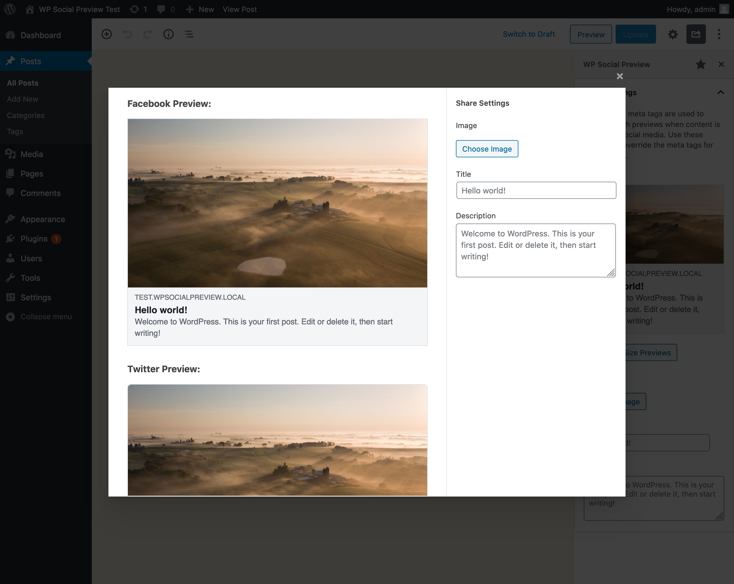 Full size social media previews