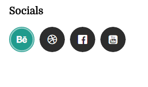 1 <strong>social icon in circle</strong>