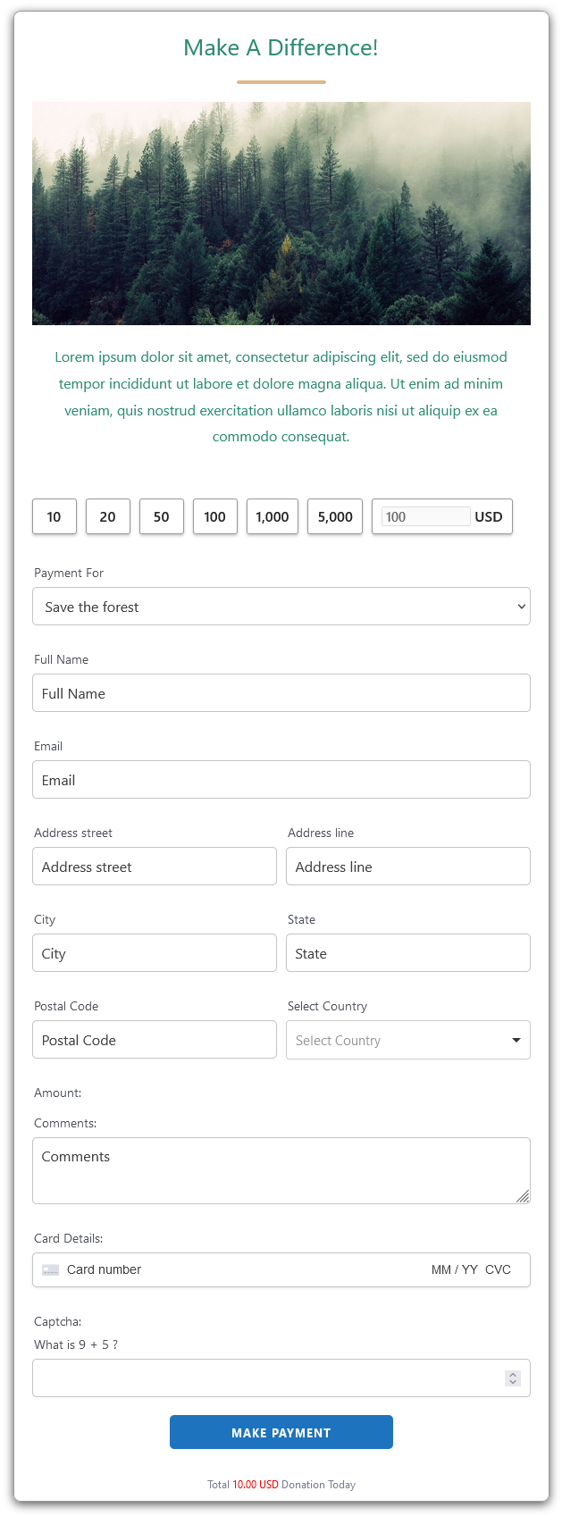 Donation/Payment Form Max