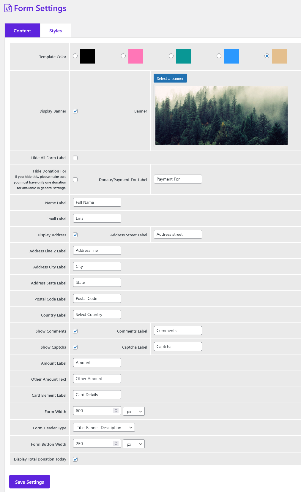 Donation/Payment Form Settings Panel