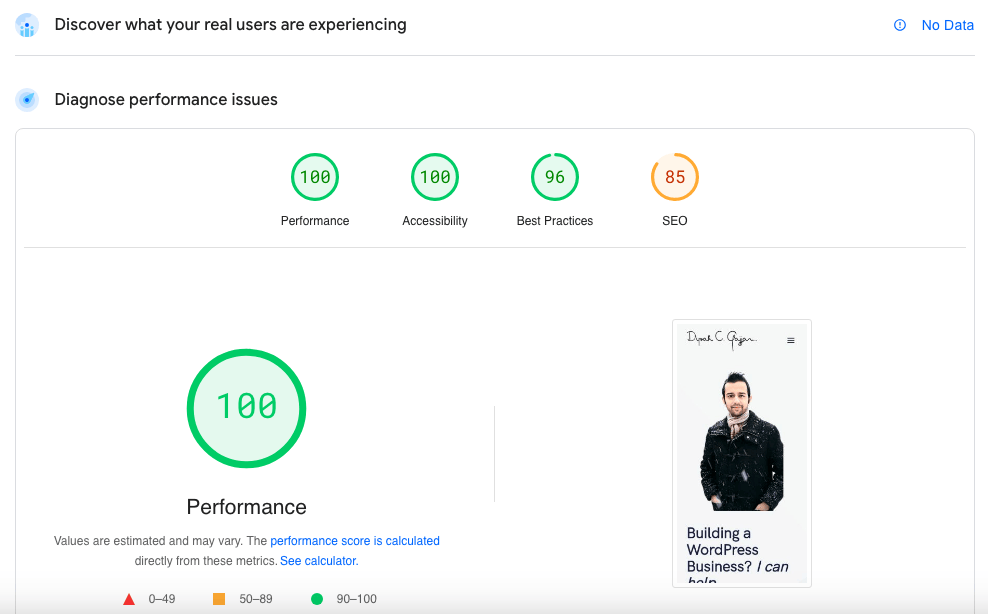 Google PageSpeed Insights Performance Results