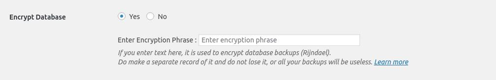 <strong>Database Encyption</strong> - Encrypt your Database backup to add an extra security layer.