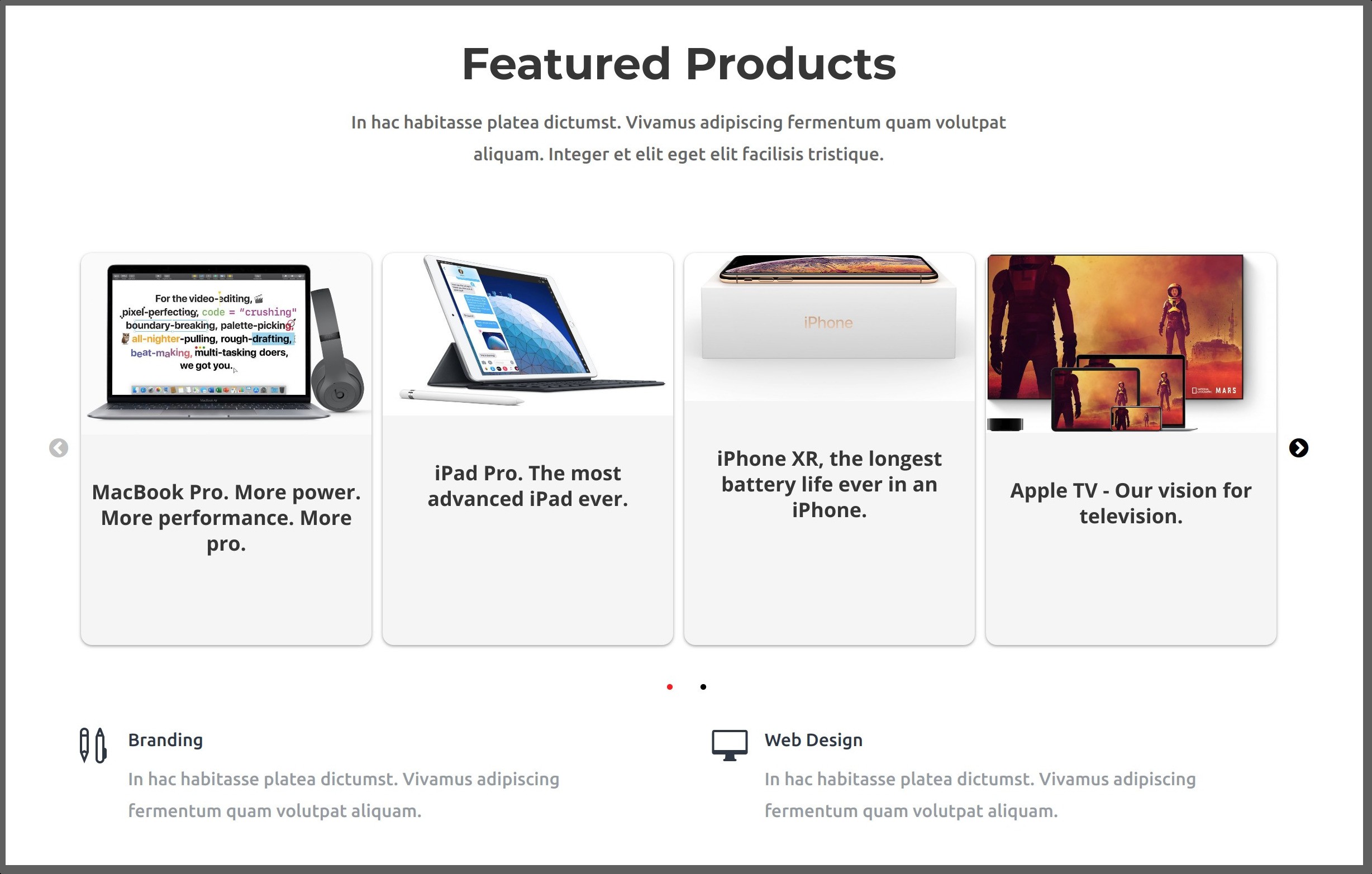 This screenshot shows an carousel created using the Divi Product Carousel