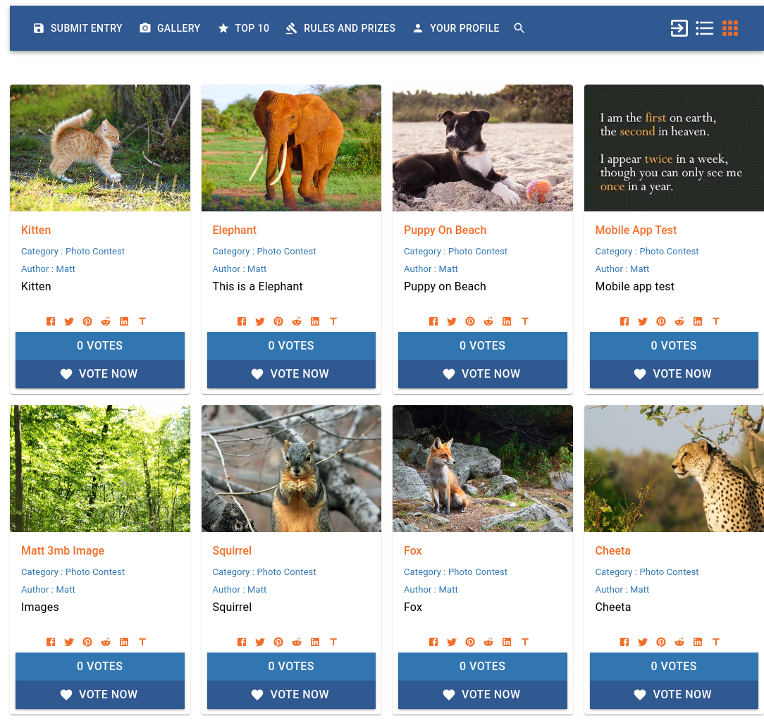 Grid View of the Image Contest with vote button, vote count and Social media links.