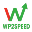 WP2Speed Faster &#8211; Optimize PageSpeed Insights Score 90-100 Icon