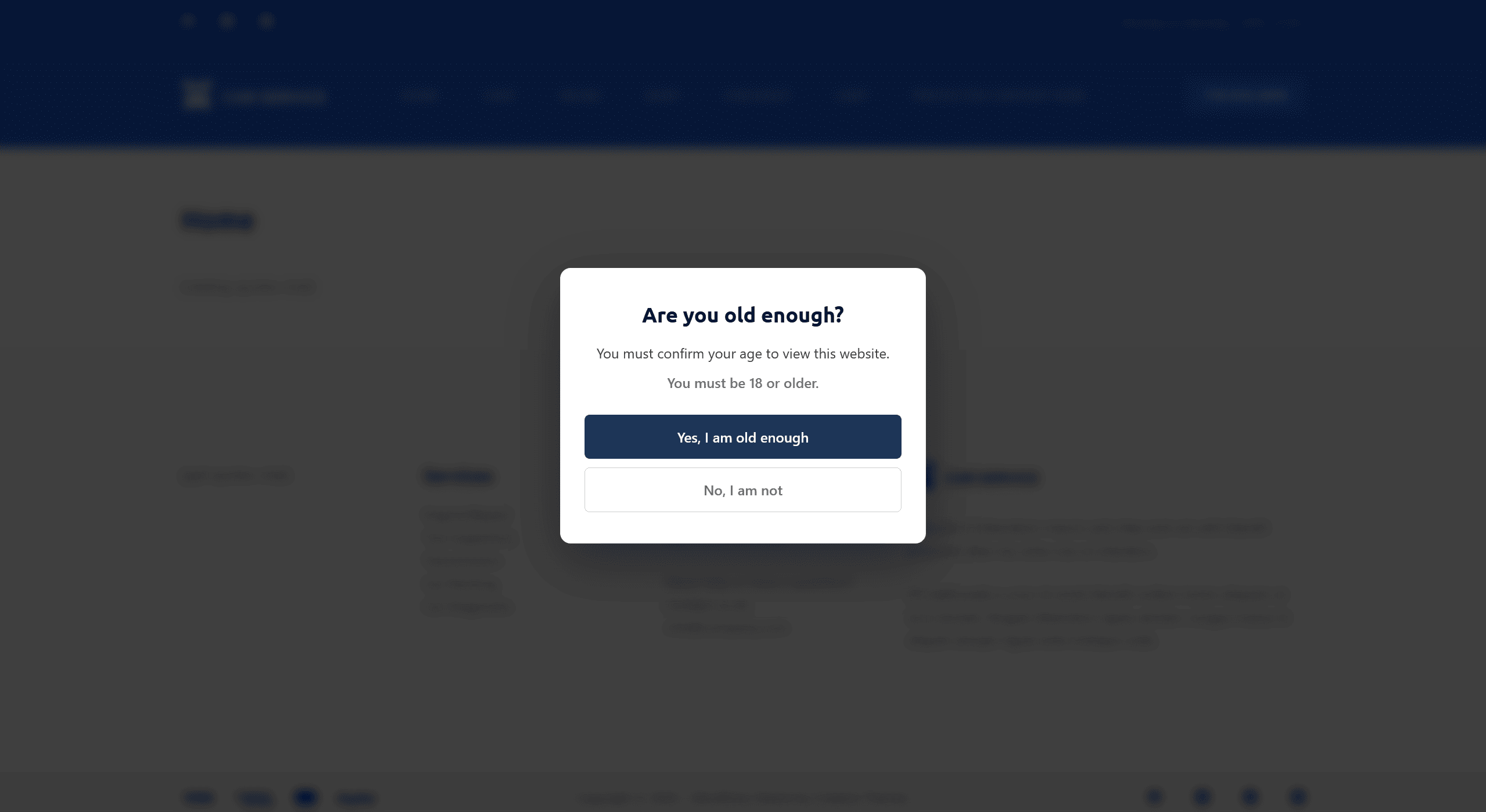 The full-page age confirmation screen as a visitor sees it.