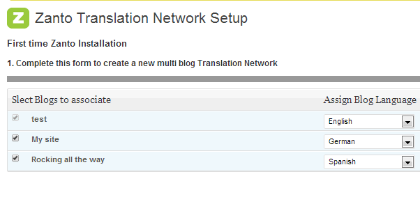 Setting up a translation network from available blogs in the multisite