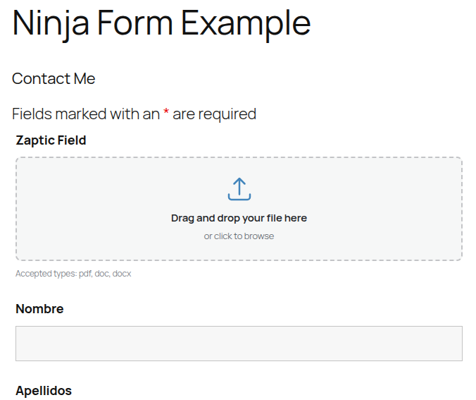 Frontend form with the Zaptic document upload field and autofilled fields visible to visitors.