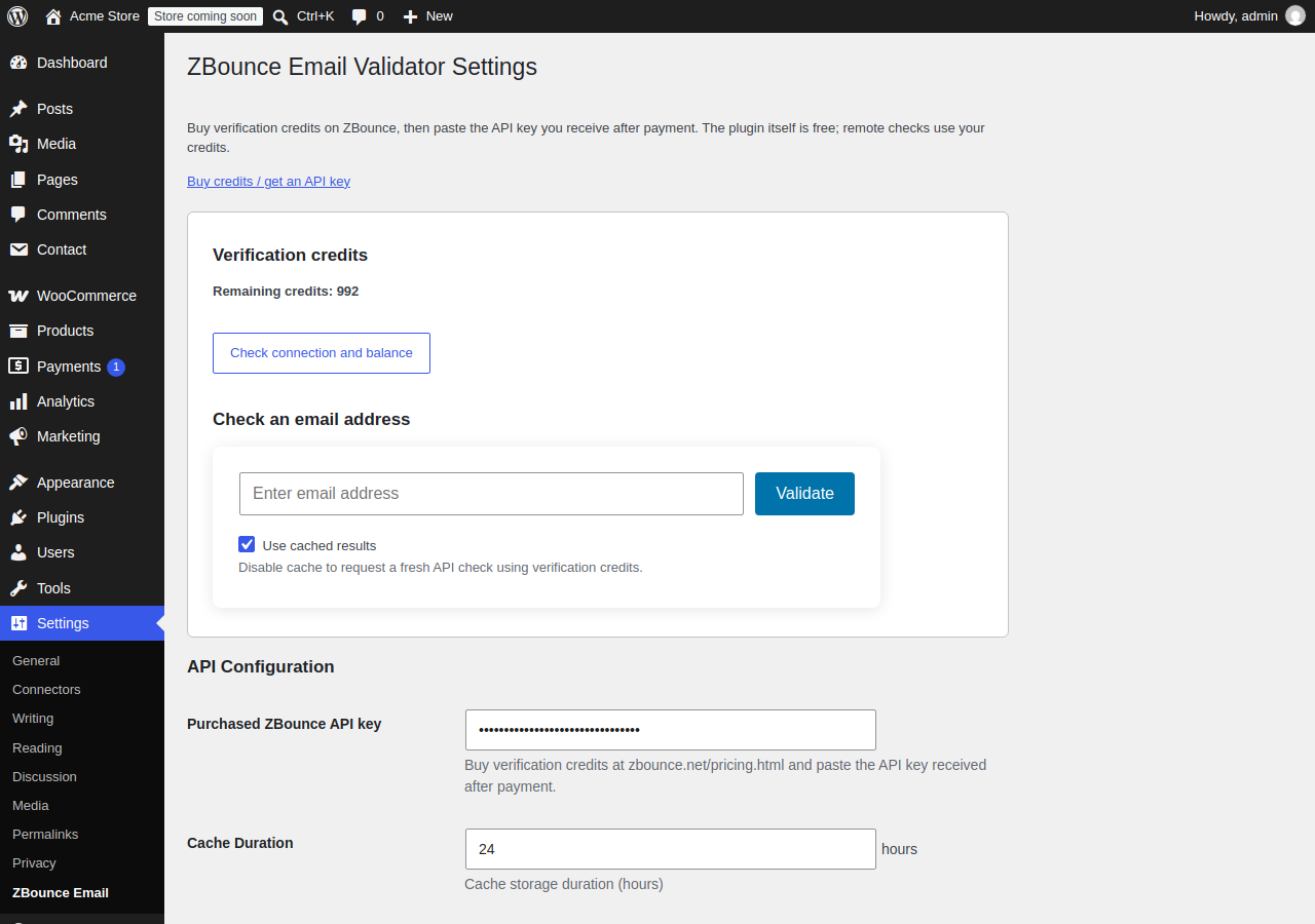 Settings page: remaining verification credits, connection check and the manual tester.