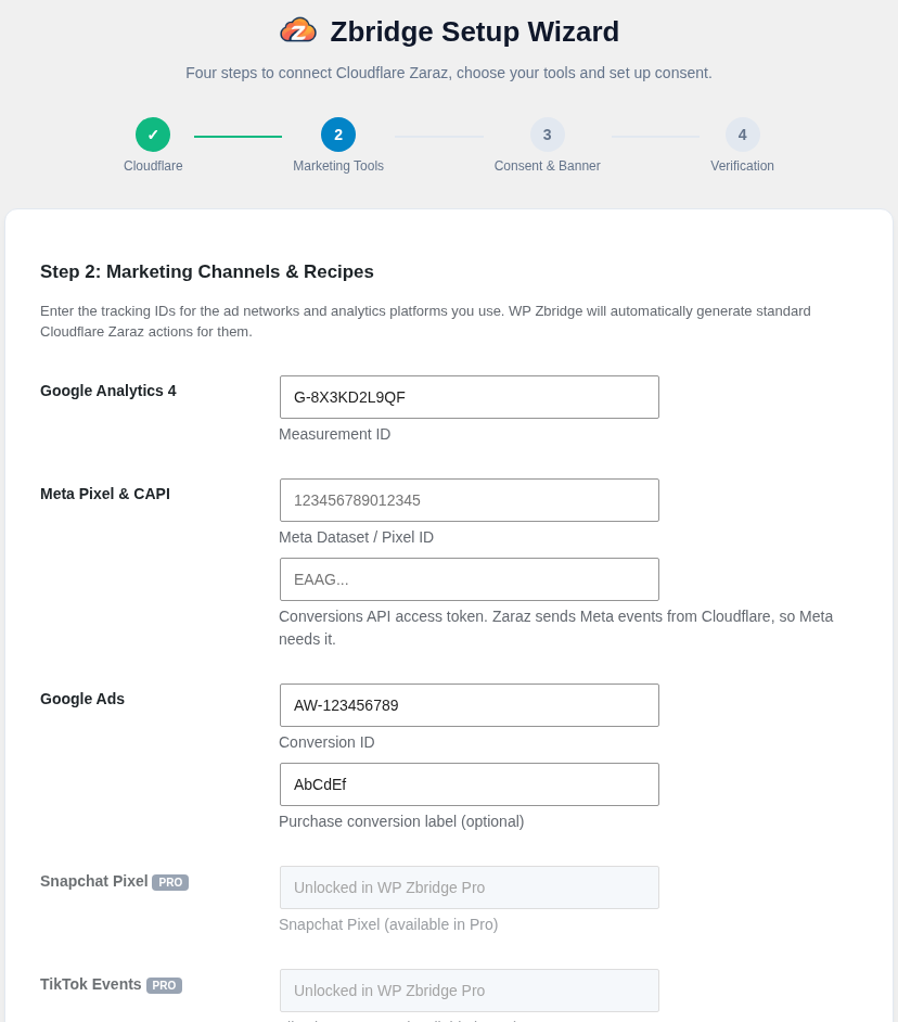 Setup wizard: enter the IDs for your analytics and ad tools.