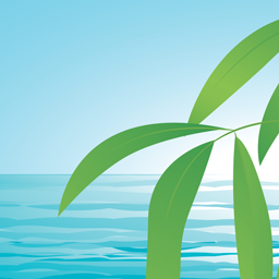 Zen Dash logo