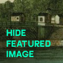 ZI Hide Featured Image Icon