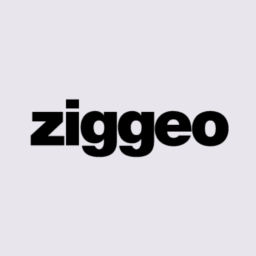 Logo Project Ziggeo